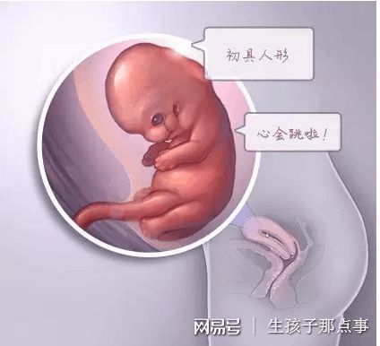 关于瑞柏国际医院